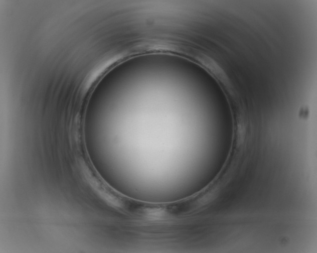 X0000113320798200909211154