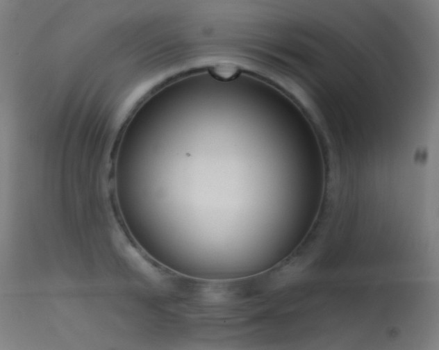 X0000113320799200909211154