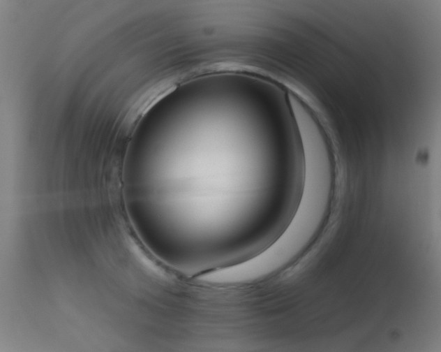 X0000113320801200909211154