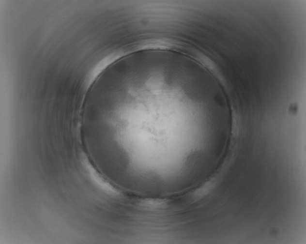 X0000113320802200909211154