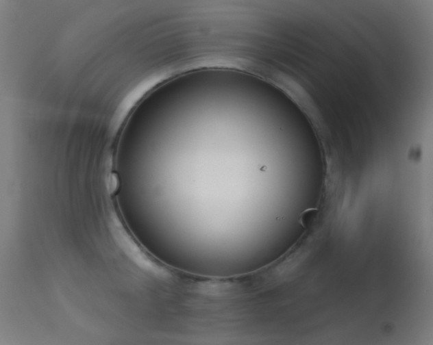 X0000113320804200909211154