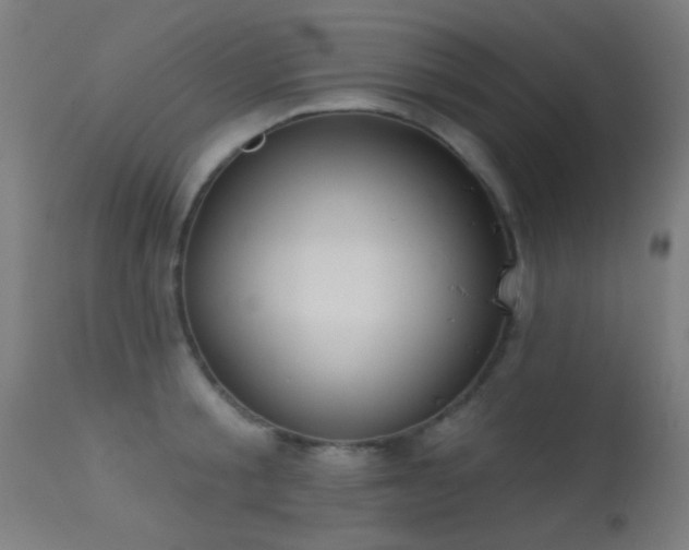 X0000113320805200909211154