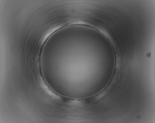 X0000113320806200909211154