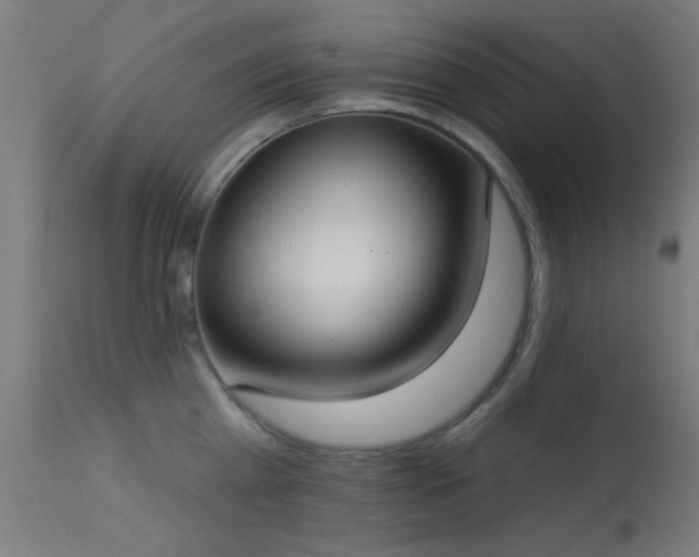 X0000113320809200909211154