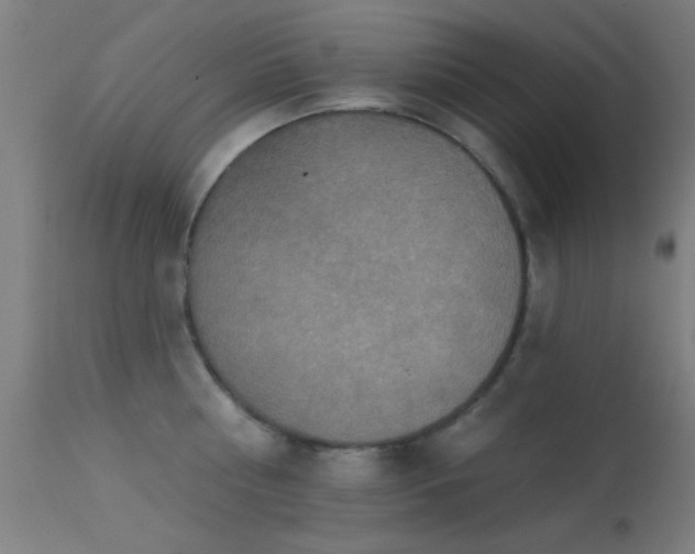 X0000113320810200909211154