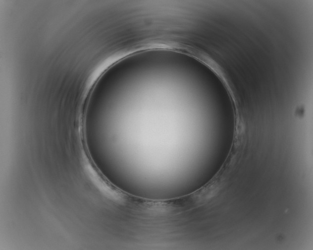 X0000113320811200909211154