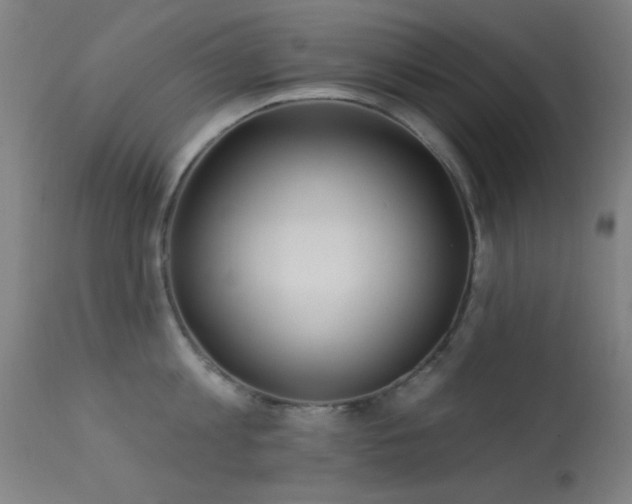 X0000113320813200909211154