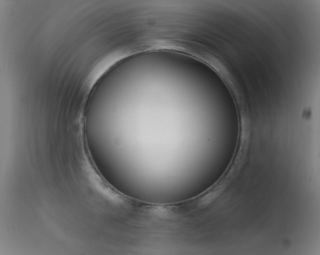 X0000113320814200909211154