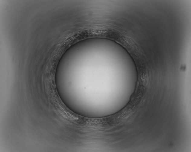 X0000113320817200909211153