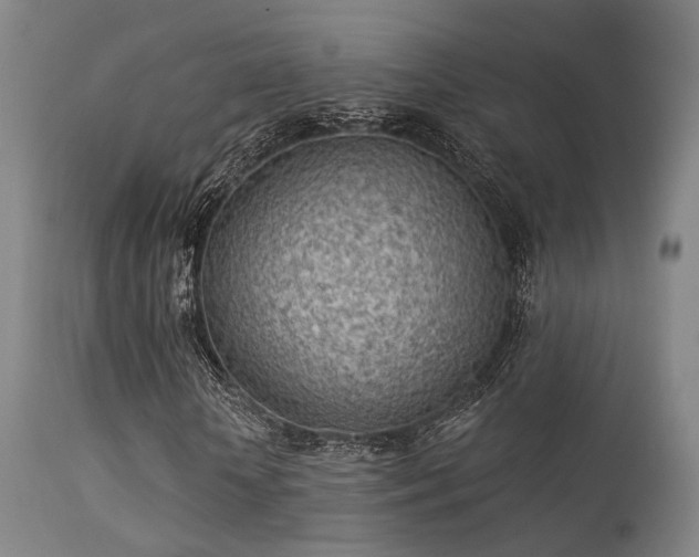 X0000113320818200909211153