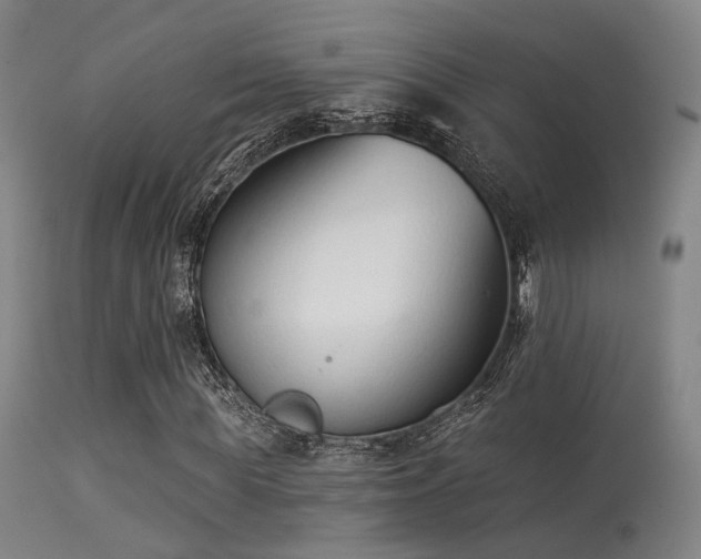 X0000113320819200909211153