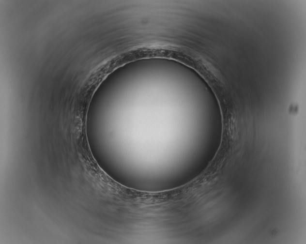 X0000113320821200909211153