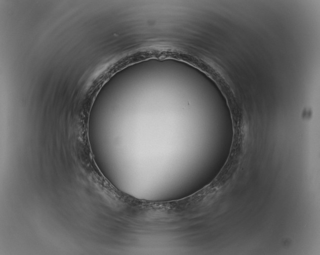 X0000113320823200909211153