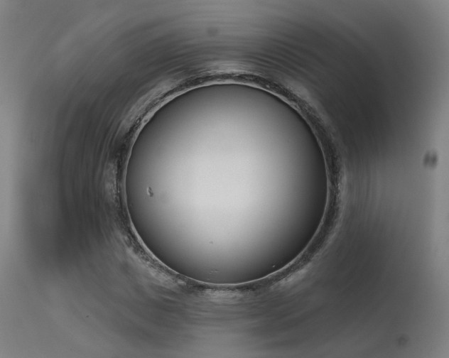 X0000113320825200909211153