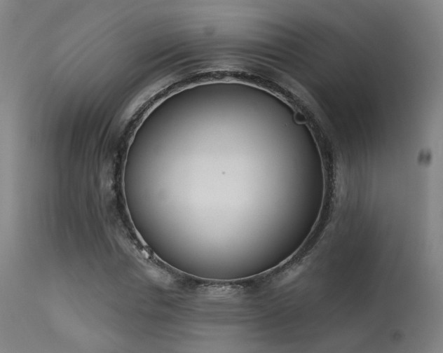 X0000113320826200909211153