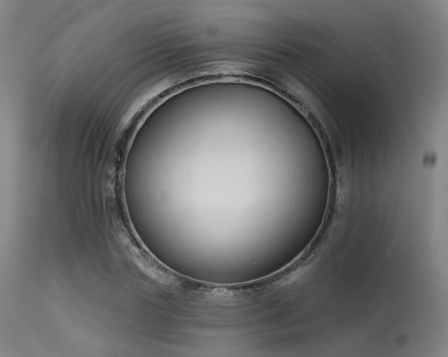 X0000113320827200909211153