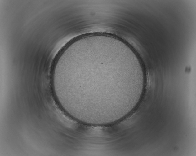 X0000113320828200909211153