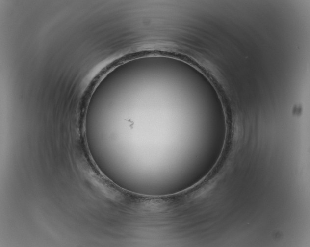 X0000113320830200909211153