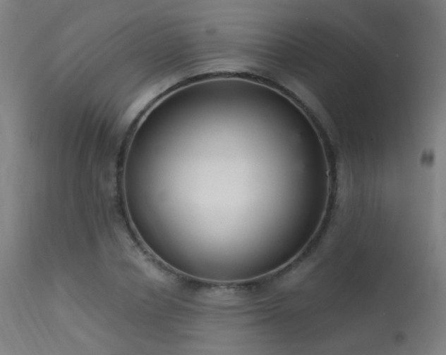 X0000113320834200909211153