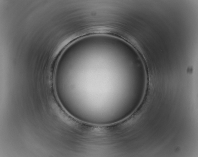 X0000113320835200909211154