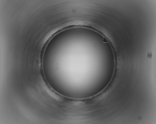 X0000113320837200909211154