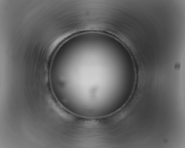 X0000113320838200909211154