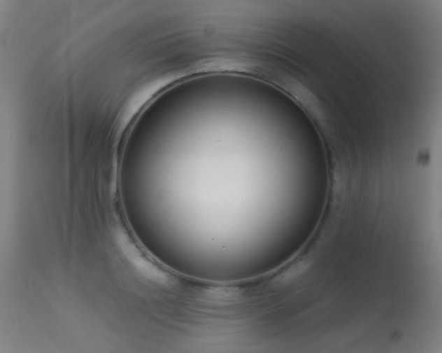 X0000113320844200909211154