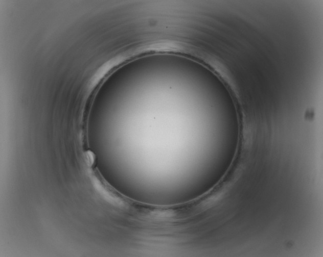 X0000113320845200909211154