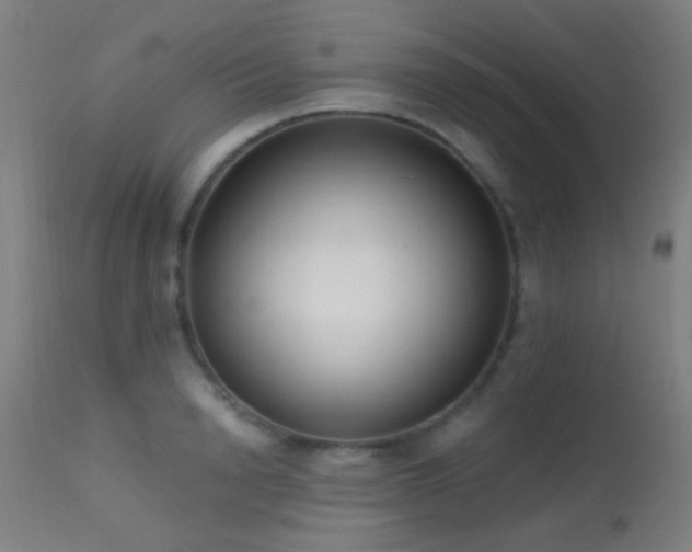 X0000113320846200909211154