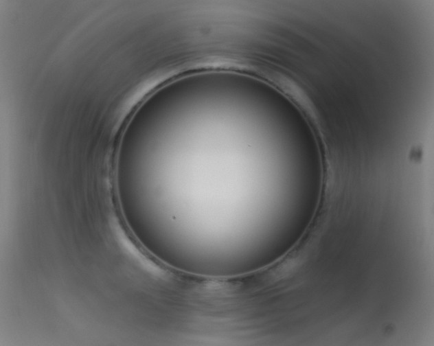 X0000113320847200909211154