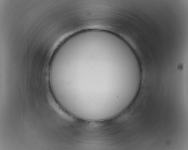 X0000113320848200909211154