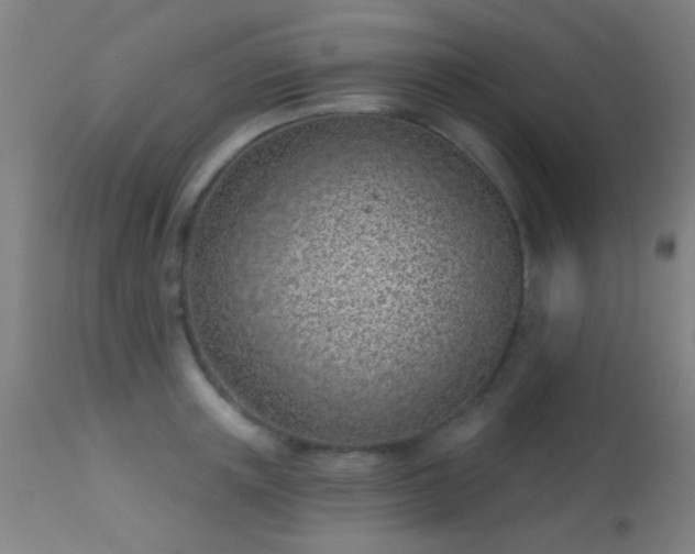 X0000113320851200909211154