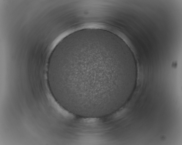 X0000113320853200909211154