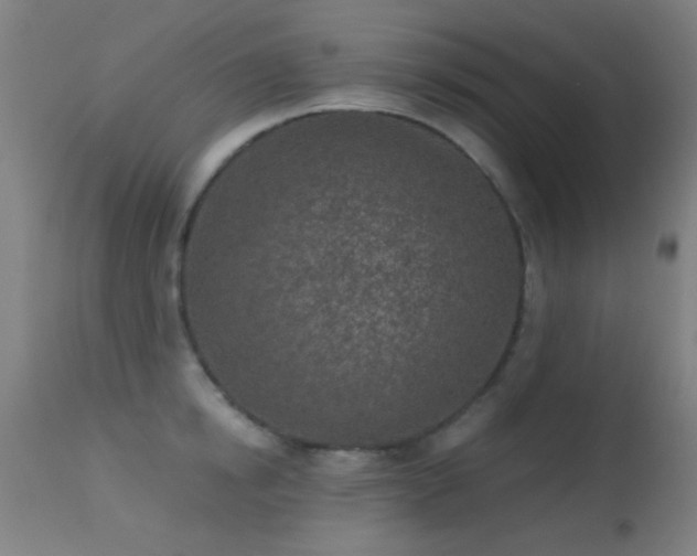 X0000113320854200909211154