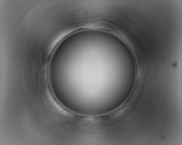 X0000113320855200909211154