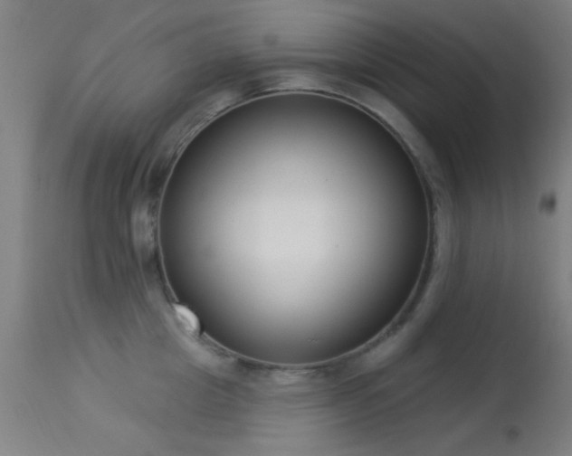 X0000113320857200909211154