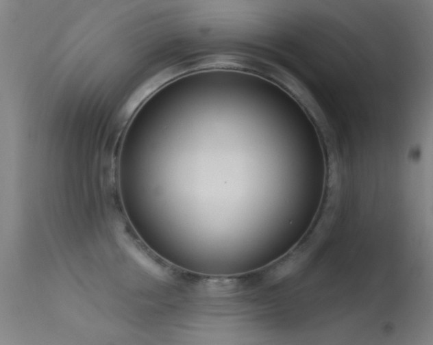 X0000113320858200909211154