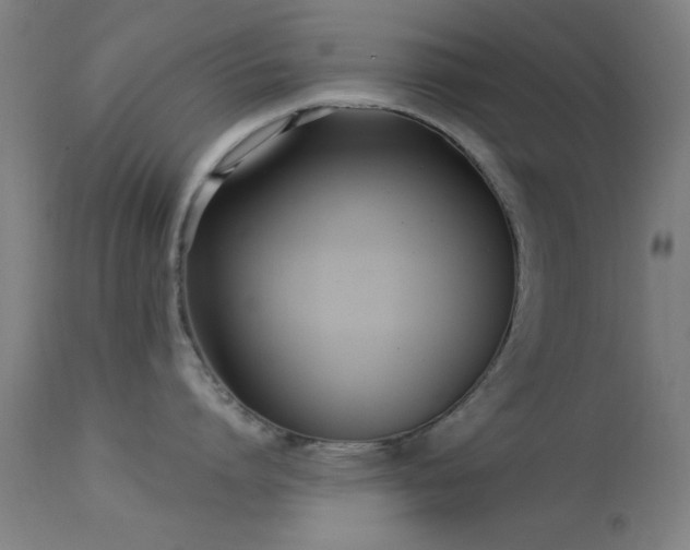 X0000113320864200909211154