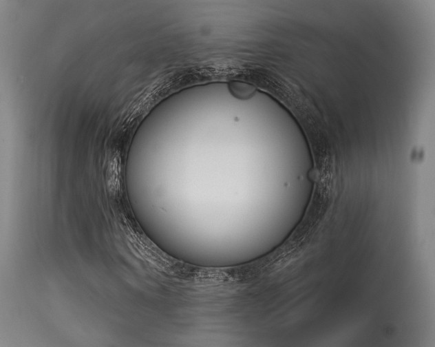 X0000113320866200909211153