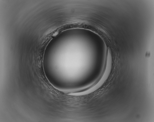 X0000113320869200909211153