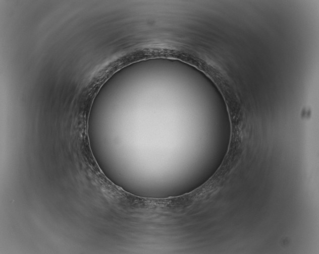 X0000113320870200909211153