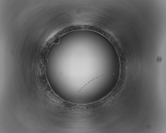 X0000113320871200909211153