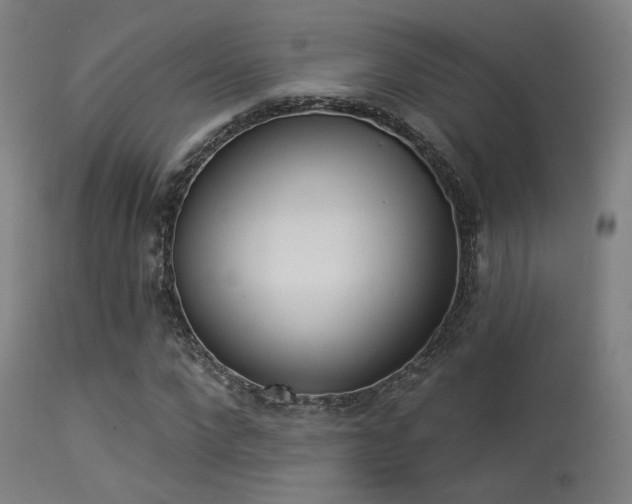 X0000113320872200909211153