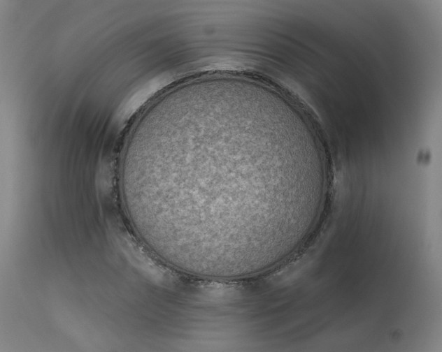 X0000113320874200909211153