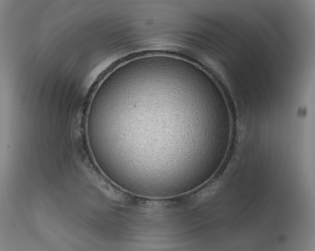 X0000113320875200909211153