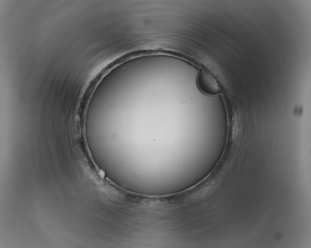 X0000113320876200909211153