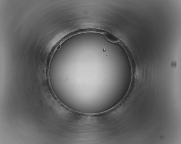 X0000113320877200909211153