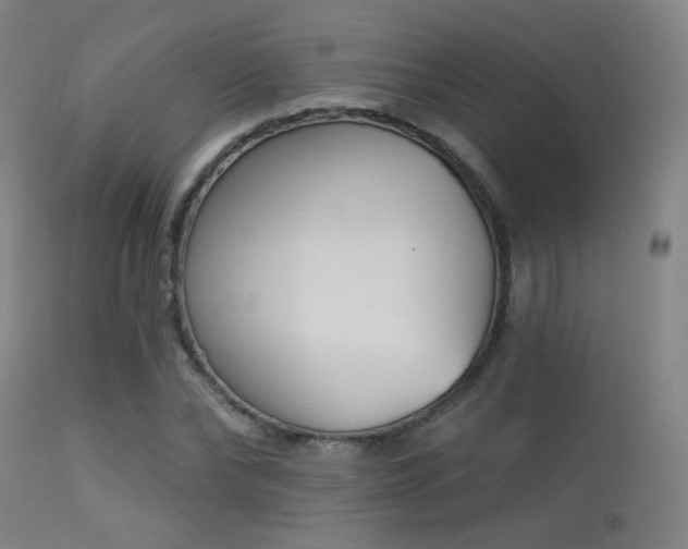 X0000113320878200909211153