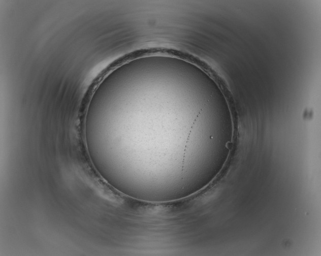 X0000113320879200909211153