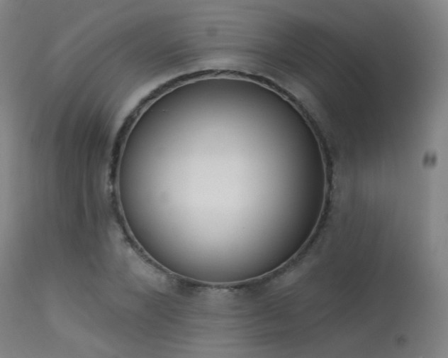 X0000113320880200909211153